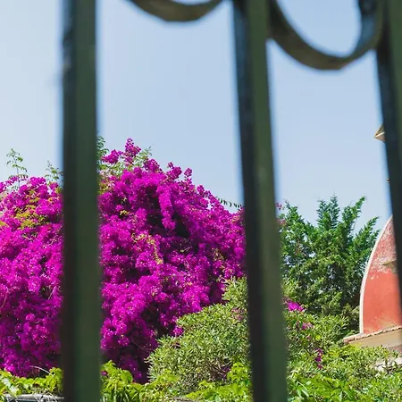 بيت للعطل New Fortress & Garden